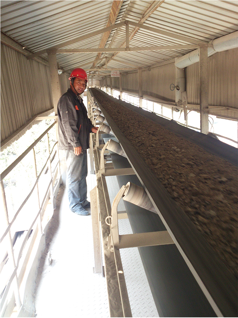 河南省孟電水泥集團設(shè)備部長張新利